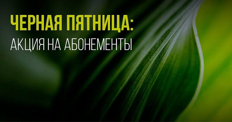 Акция на абонементы в ROYALTHAI до 30 ноября